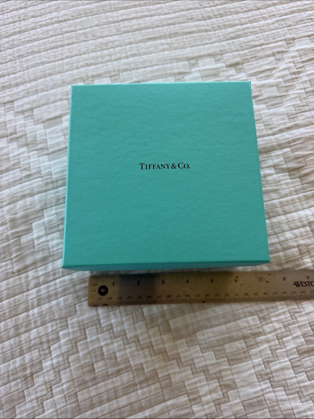 Tiffany & Co. Robin's Egg Blue Gift Box